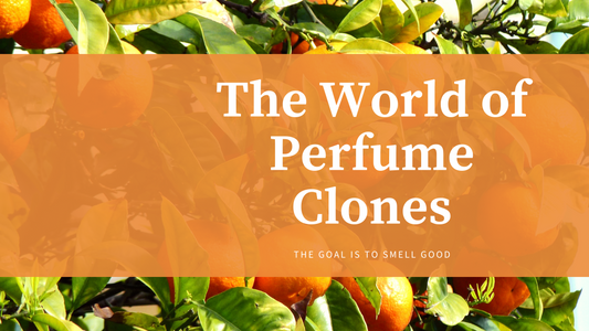 The World of Perfume Clones